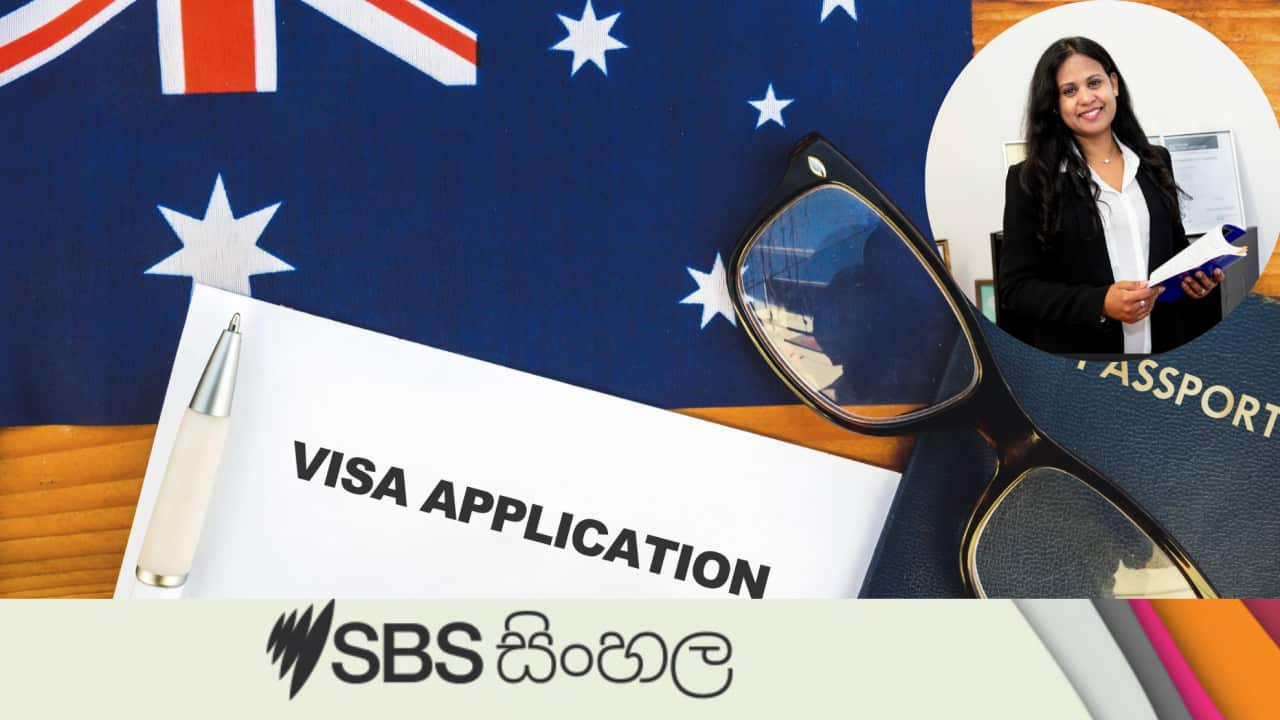 Job Sponsorship Visa .png