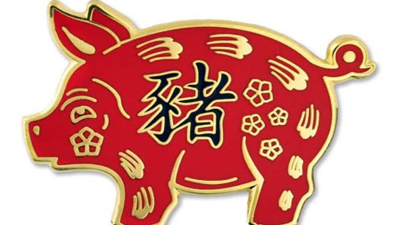 Year of Pig