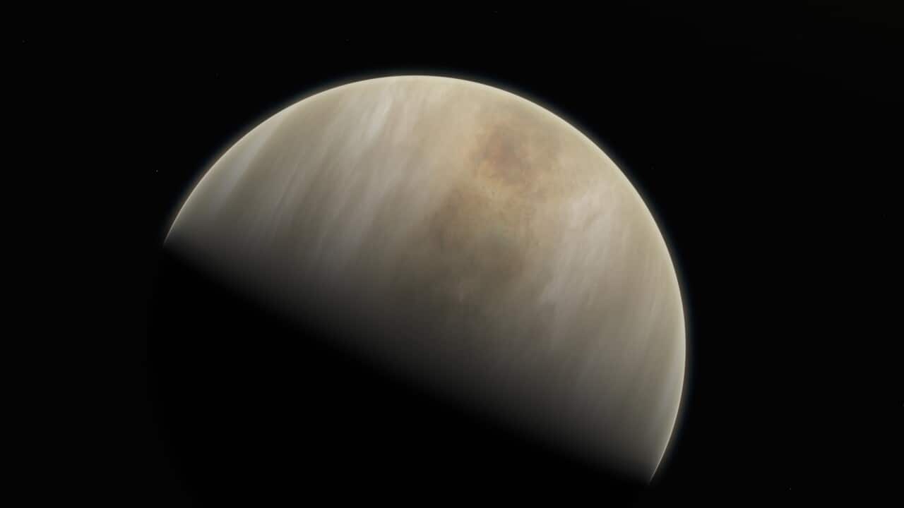 The discovery of phosphine gas in the clouds of Venus could indicate signs of life on the planet.