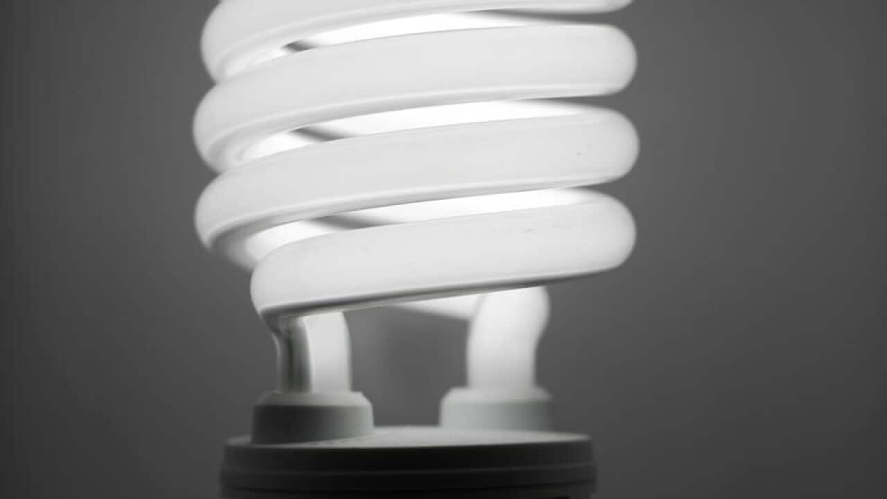 A compact fluorescent light bulb.