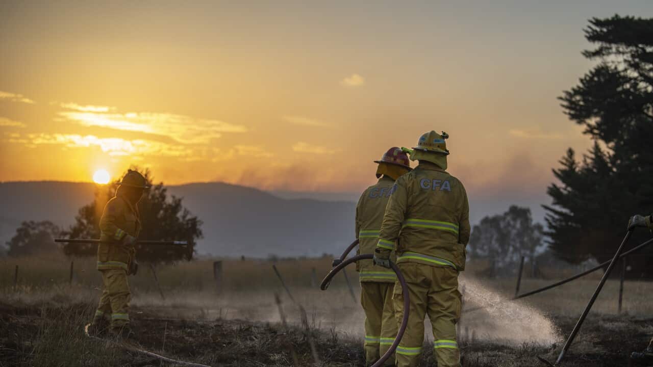 Victorian Bushfires in Australia - 10 Jan 2026
