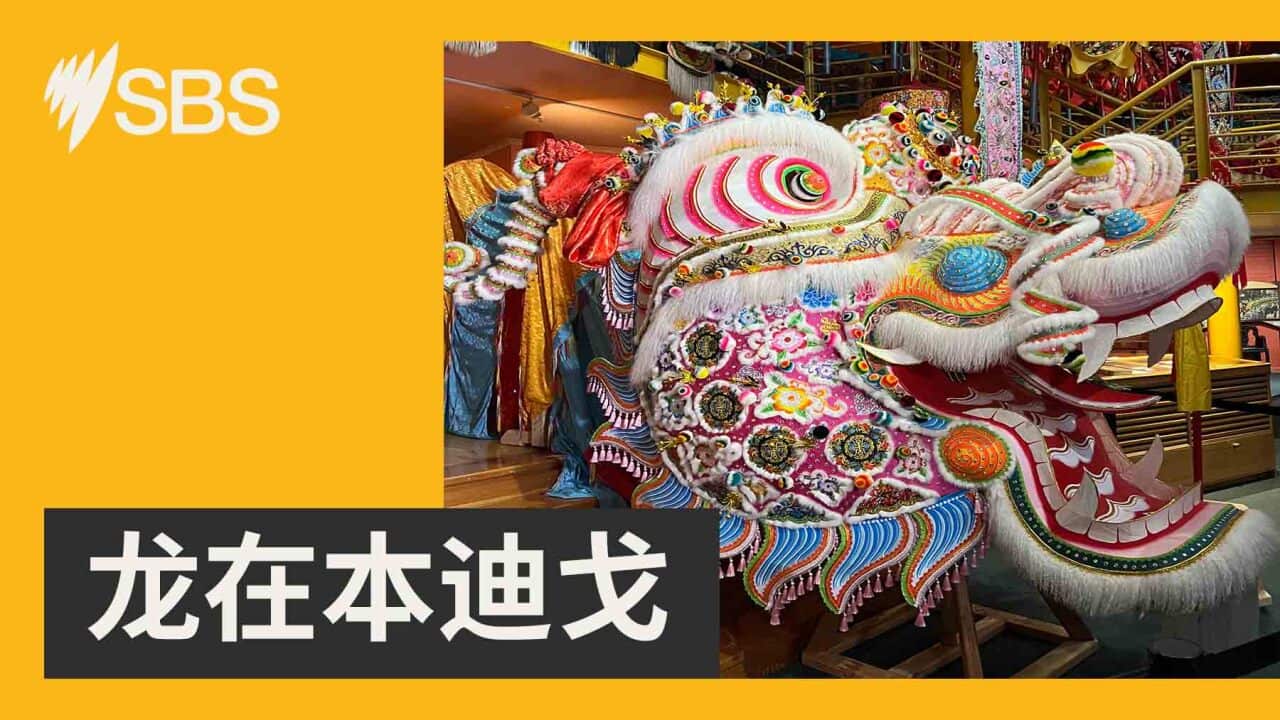 Image for read more article 'Listen to SBS's Bendigo Golden Dragon podcast series'