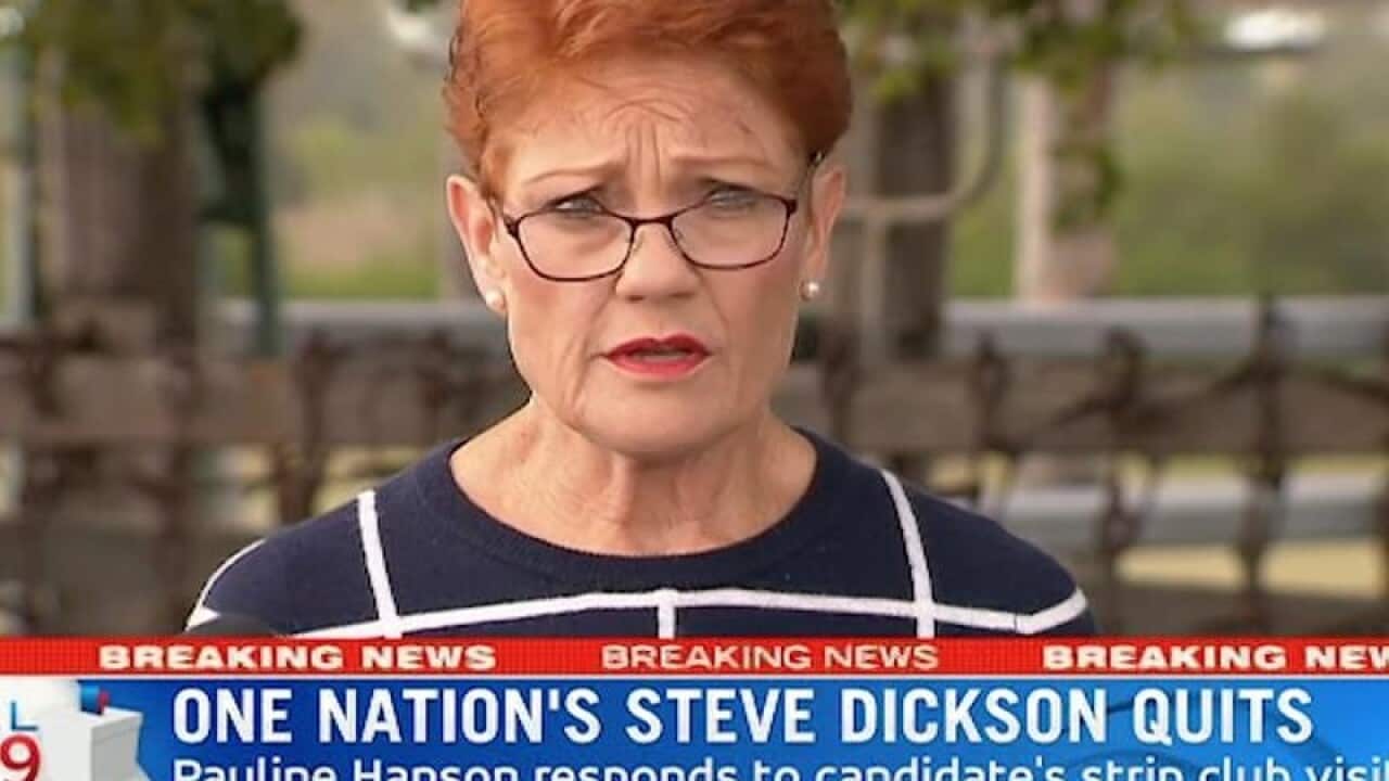A TV screenshot of One Nation leader Pauline Hanson addressing media.