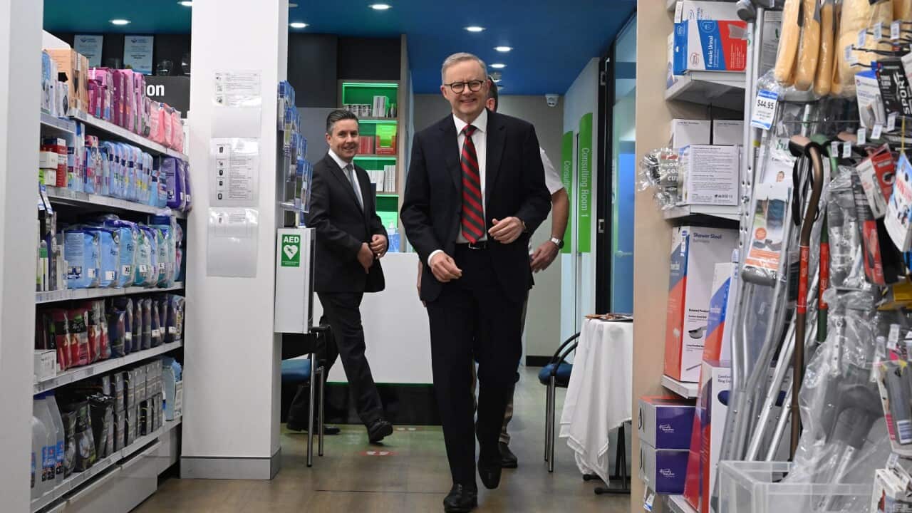 ANTHONY ALBANESE CHEMIST VISIT