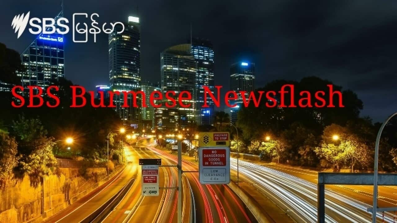 Night Time NewsFalash.jpg