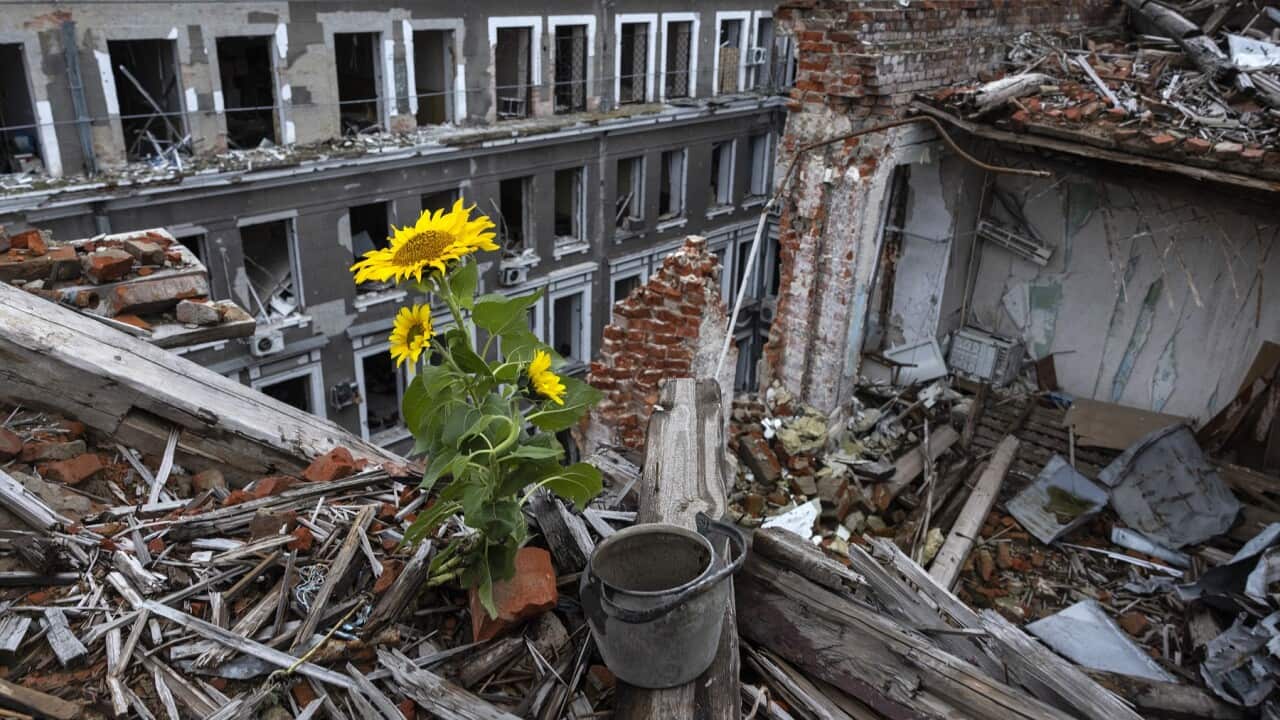 Image for read more article 'Дізнайтеся більше:'