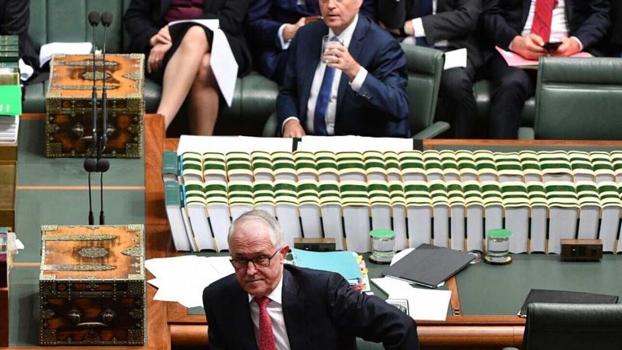 Bill Shorten and Malcolm Turnbull pictured during question time.