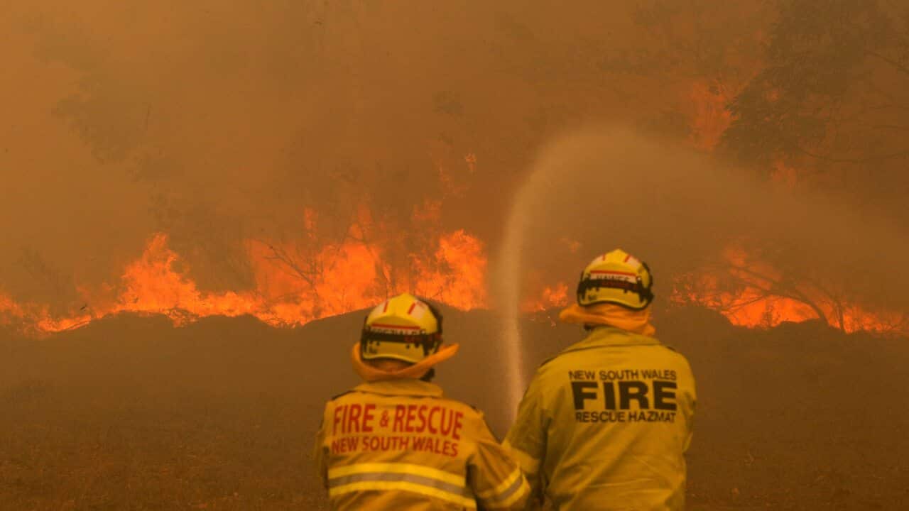 NSW Firefighters in action