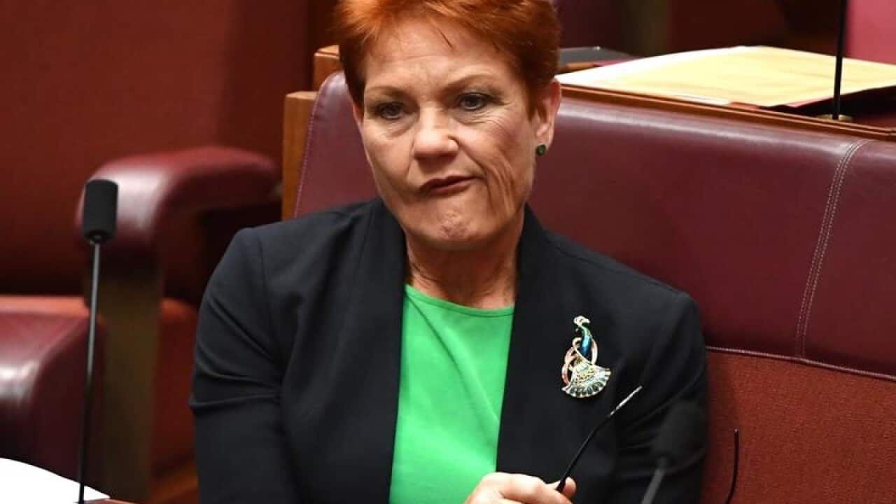 One Nation leader Pauline Hanson in the Senate chamber.