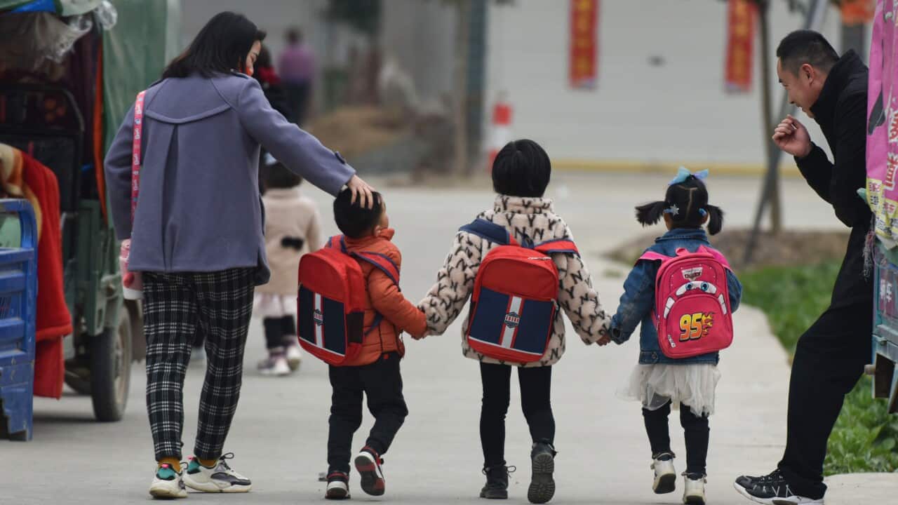 Image for read more article ''