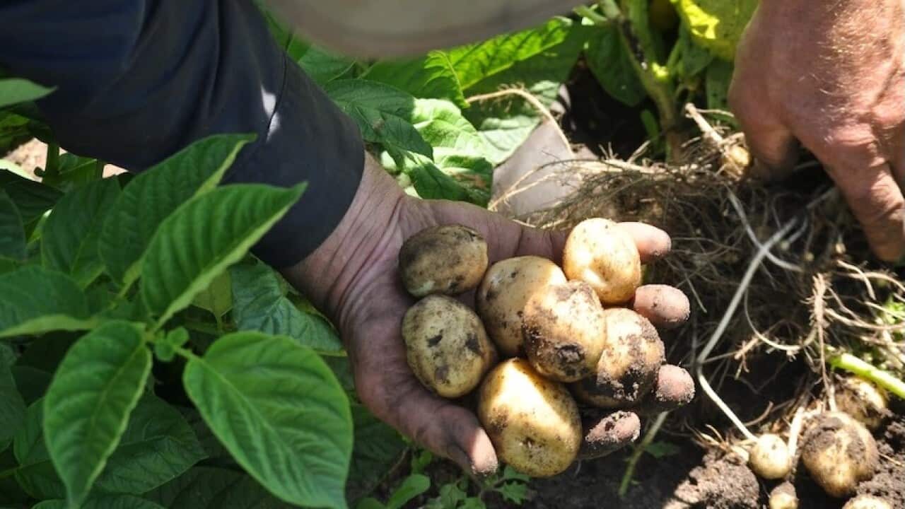 Image for read more article 'Đọc thêm'