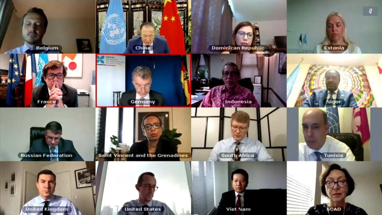 The UN Security Council in a video conference session.