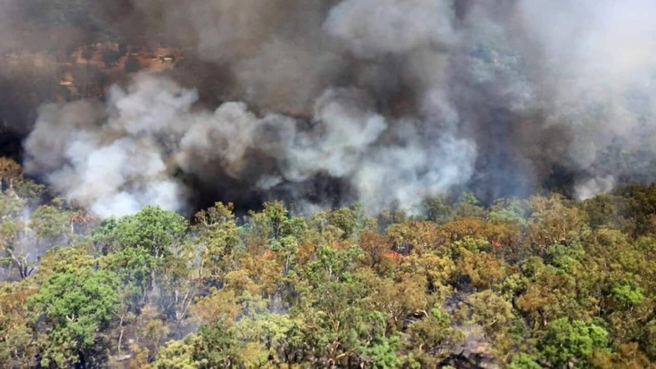 Bush fire