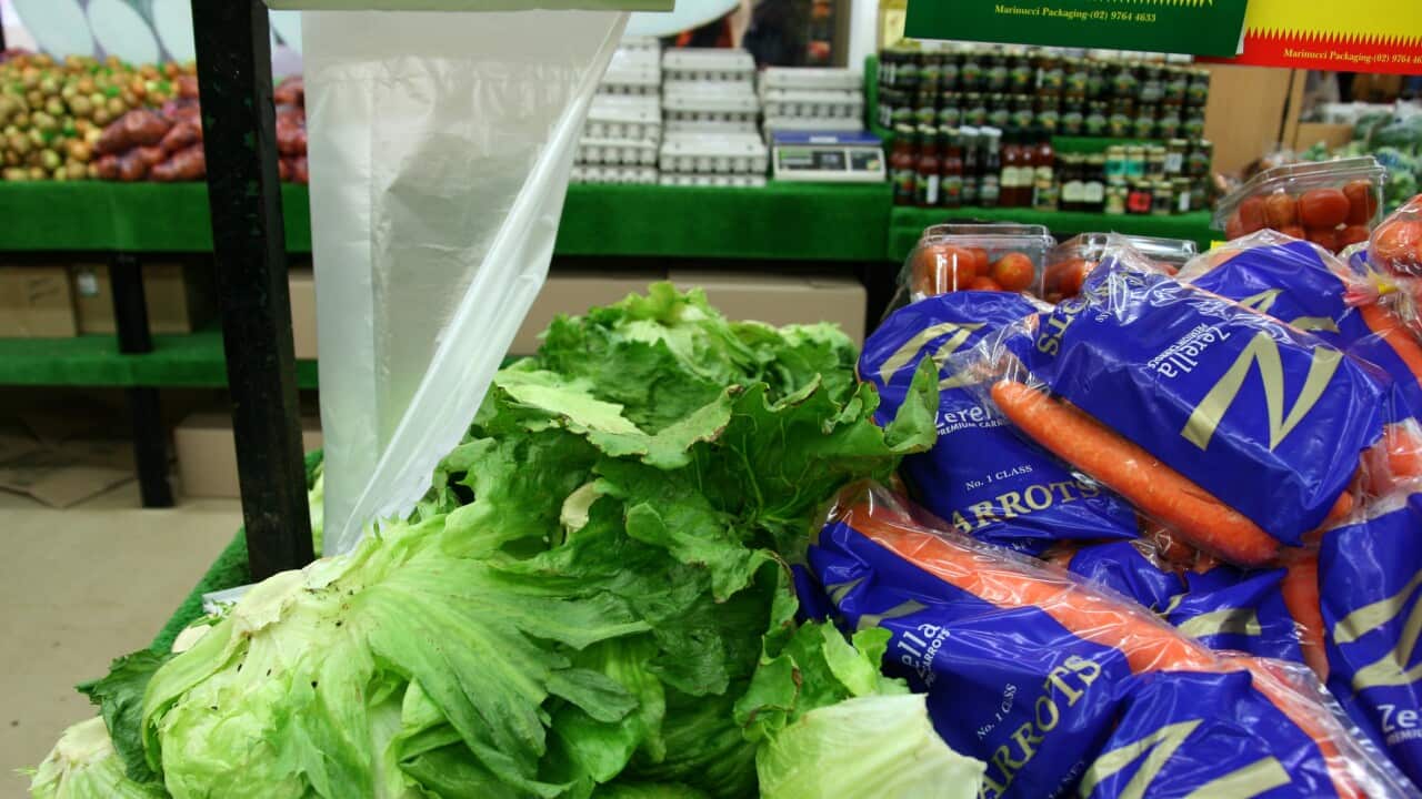 Vegetables at a supermarket shelf