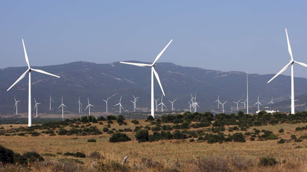Windmills / Turbines at wind farm near Tarifa (AAP/Mary Evans/Ardea/M. Watson)