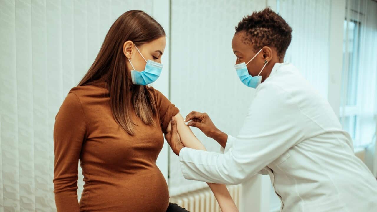 A pregnant woman gets vaccinated (Getty Images)