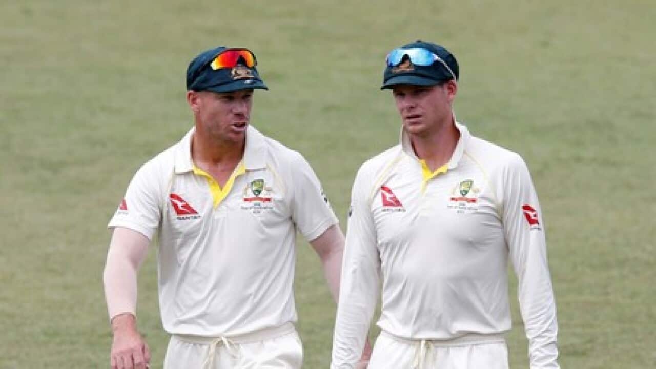 Cricket Australia slaps 12-month bans on Smith and Warner