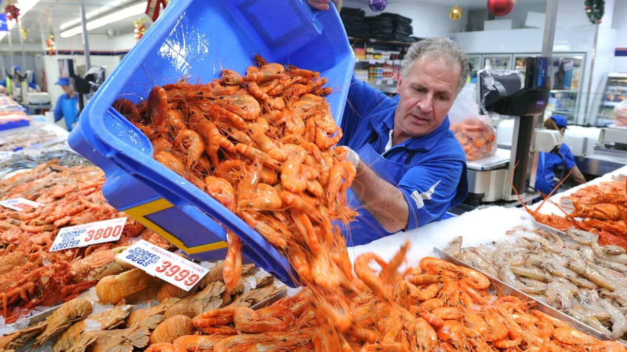 Workers restock prawns at the Sydney Fish Market