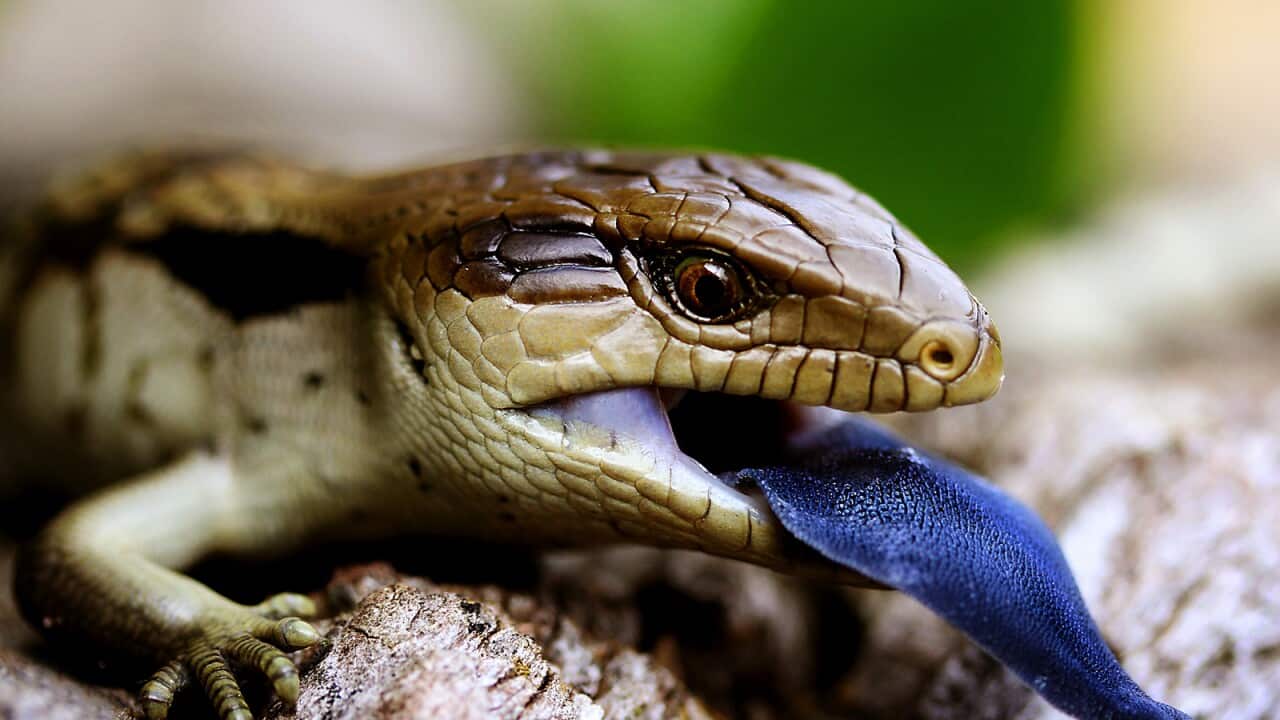 Image for read more article 'اقرأ المزيد'