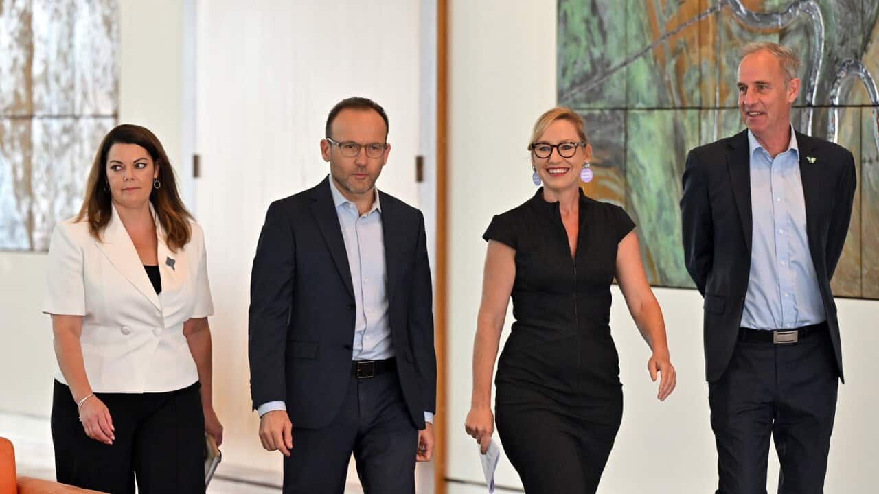 ADAM BANDT GREENS PRESSER