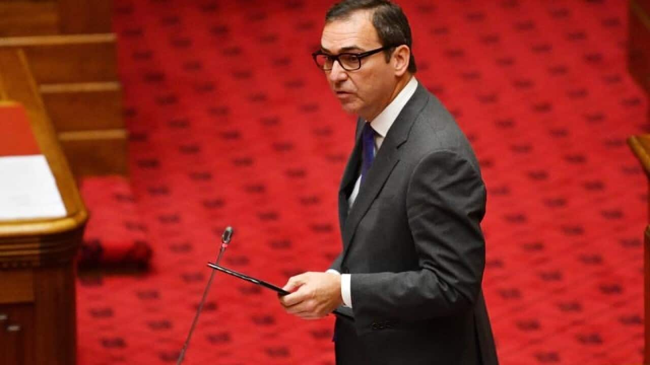 Steven Marshall during a sitting of SA parliament