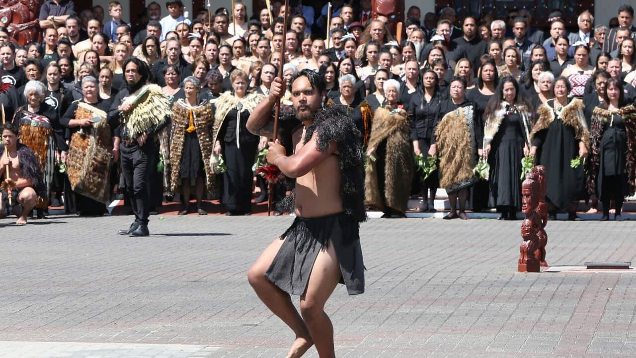 The tradition of a ceremonial challenge is performed in New Zealand (AAP)