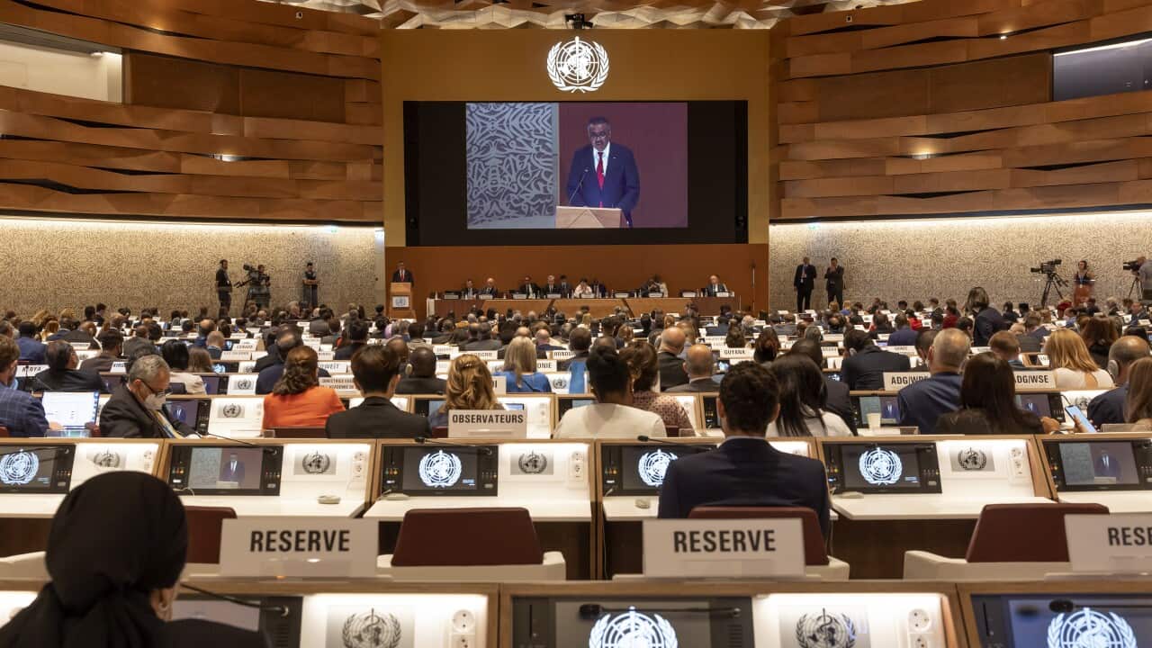 A meeting of the World Health Assembly at the European headquarters of the United Nations in Geneva