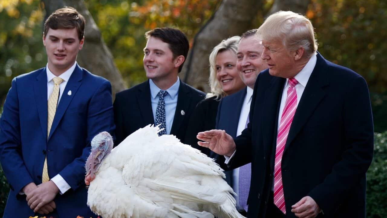 US President Donald Trump Celebrating Thanksgiving
