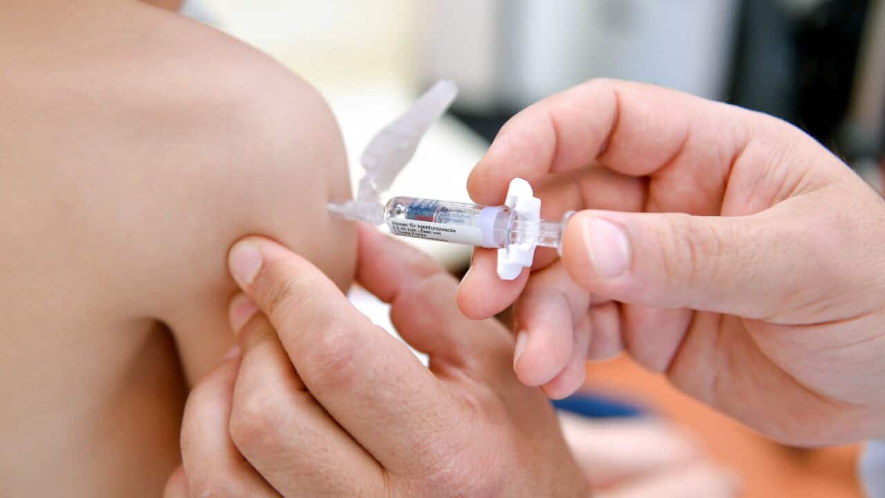 measles vaccine