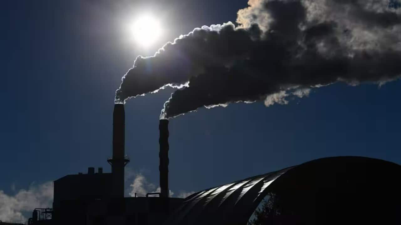 Climate policy.jpg