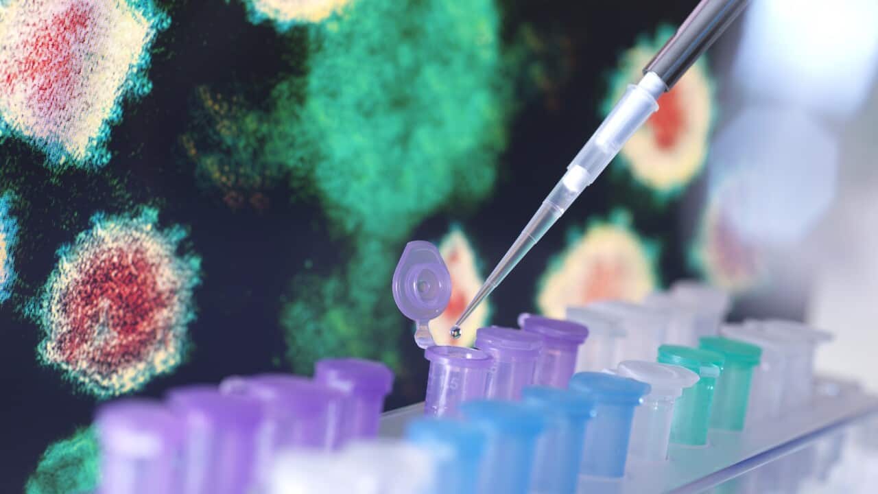 Image for read more article ''