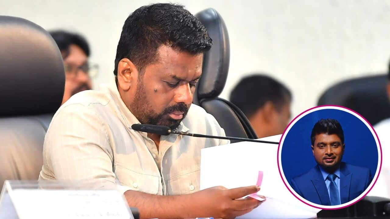 Homeland Highlights.jpg