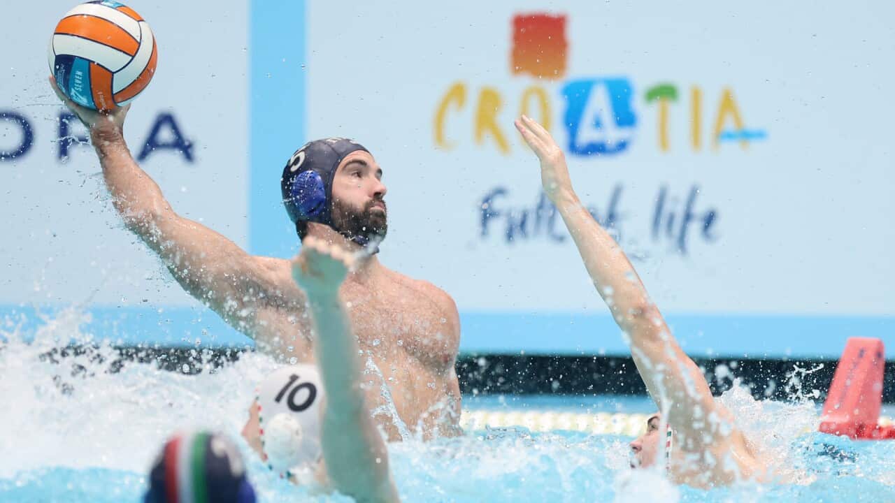 LEN 2024 Men's European Water Polo Championship, Hungary and Italy