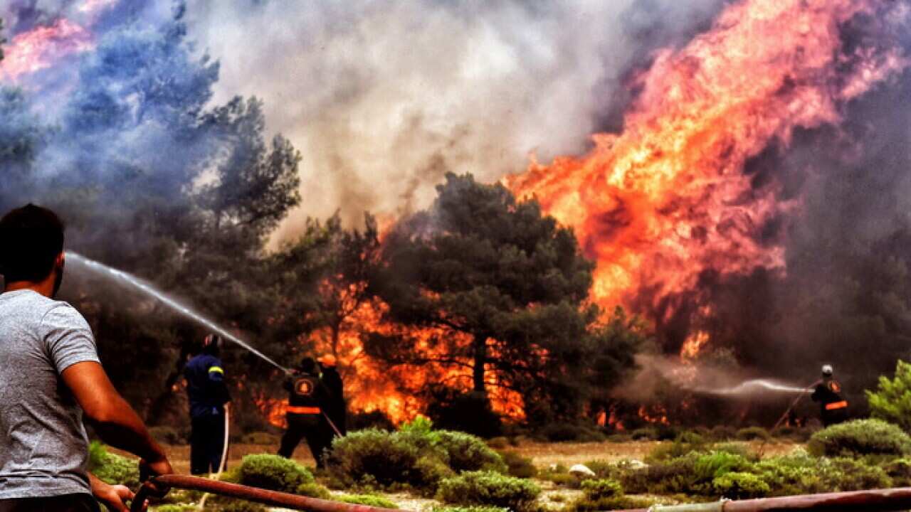 Firefighters and volunteers in Greece July 2018