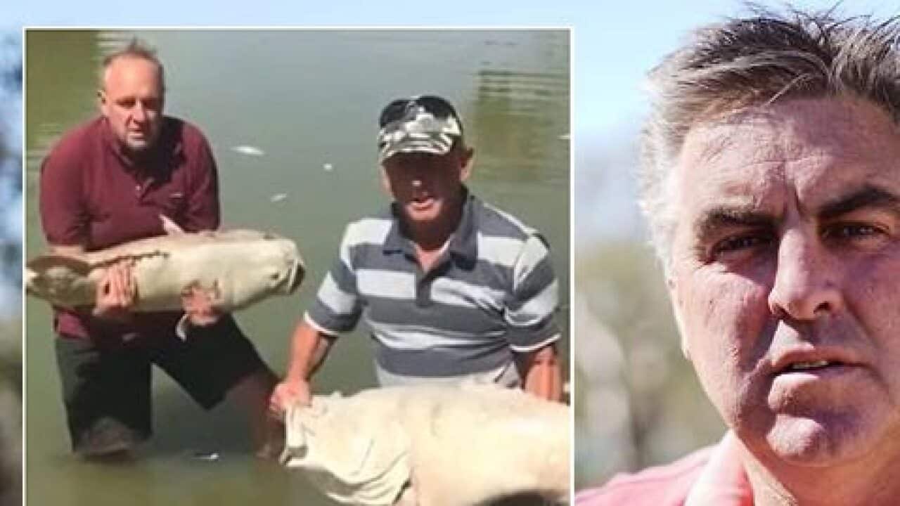 Local New South Wales fisherman Graeme McCrabb