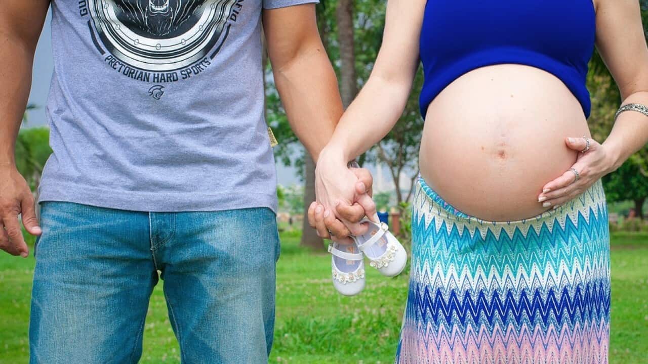 pregnant belly