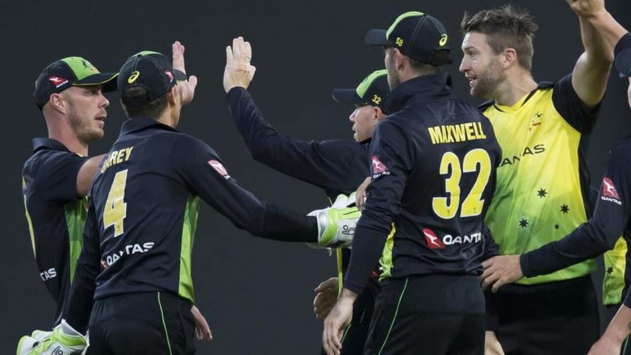 Australia's T20 team celebrate a wicket