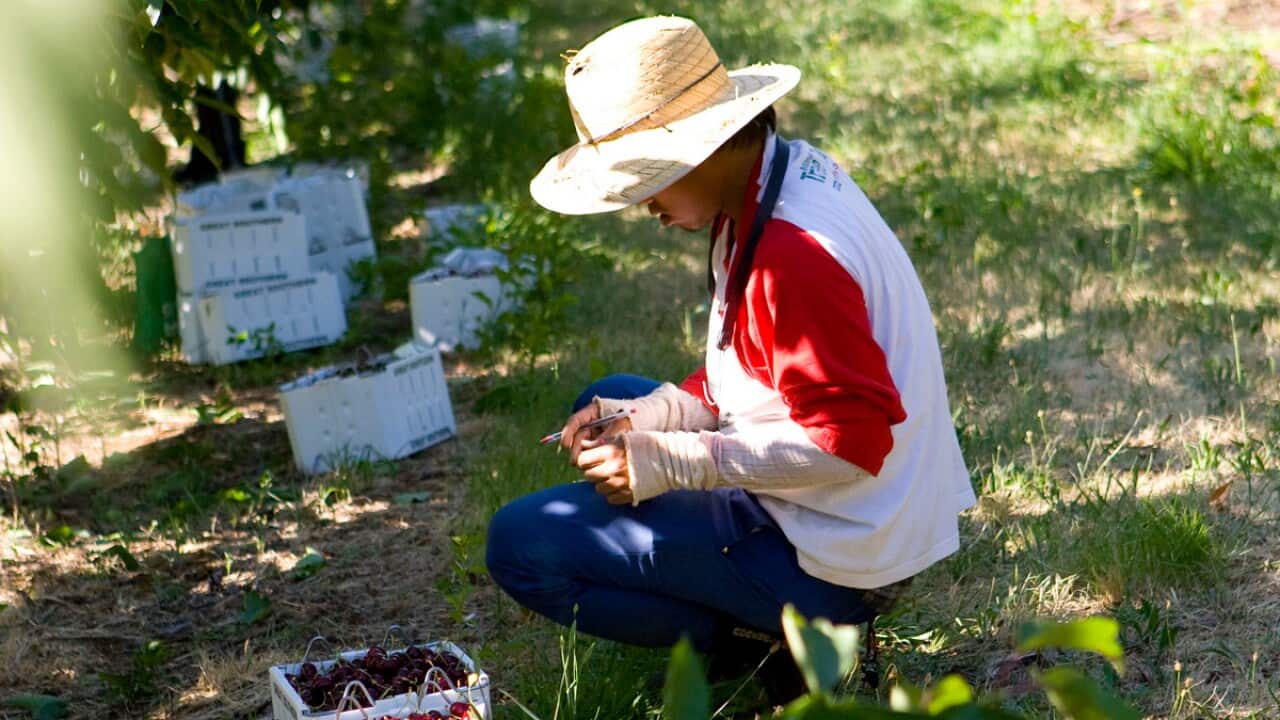 Image for read more article 'READ MORE'