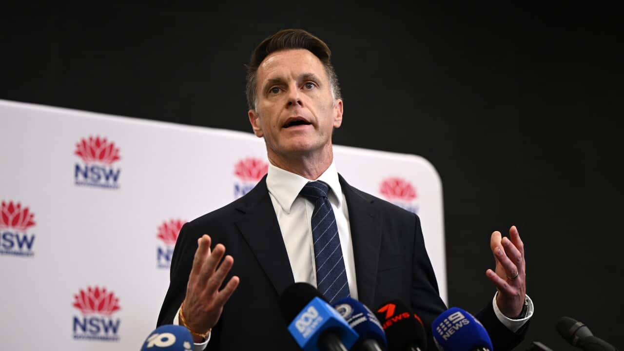 NSW Premier Chris Minns speaks to media during a press conference at NSW Parliament in Sydney,