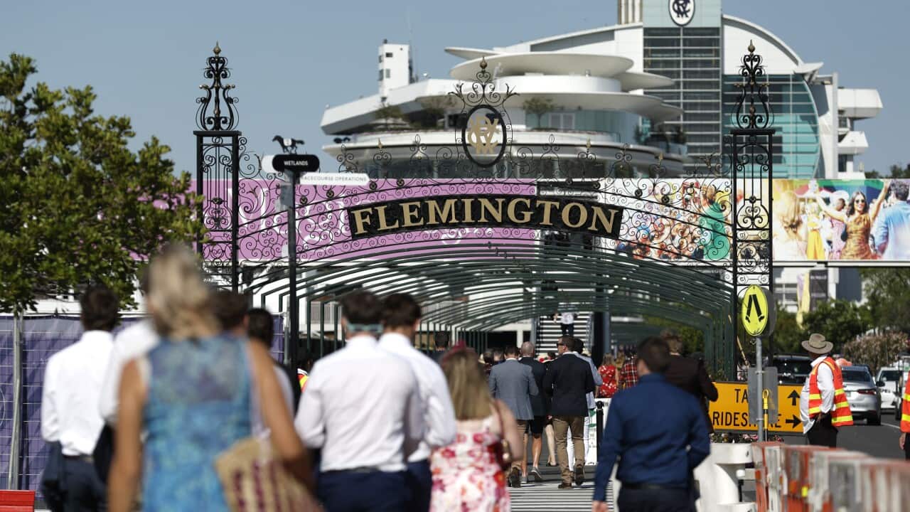 RACING MELBOURNE CUP