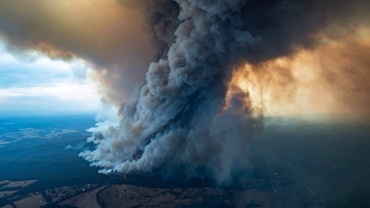 Smoke billowing from a fire burning at East Gippsland, Victoria.  