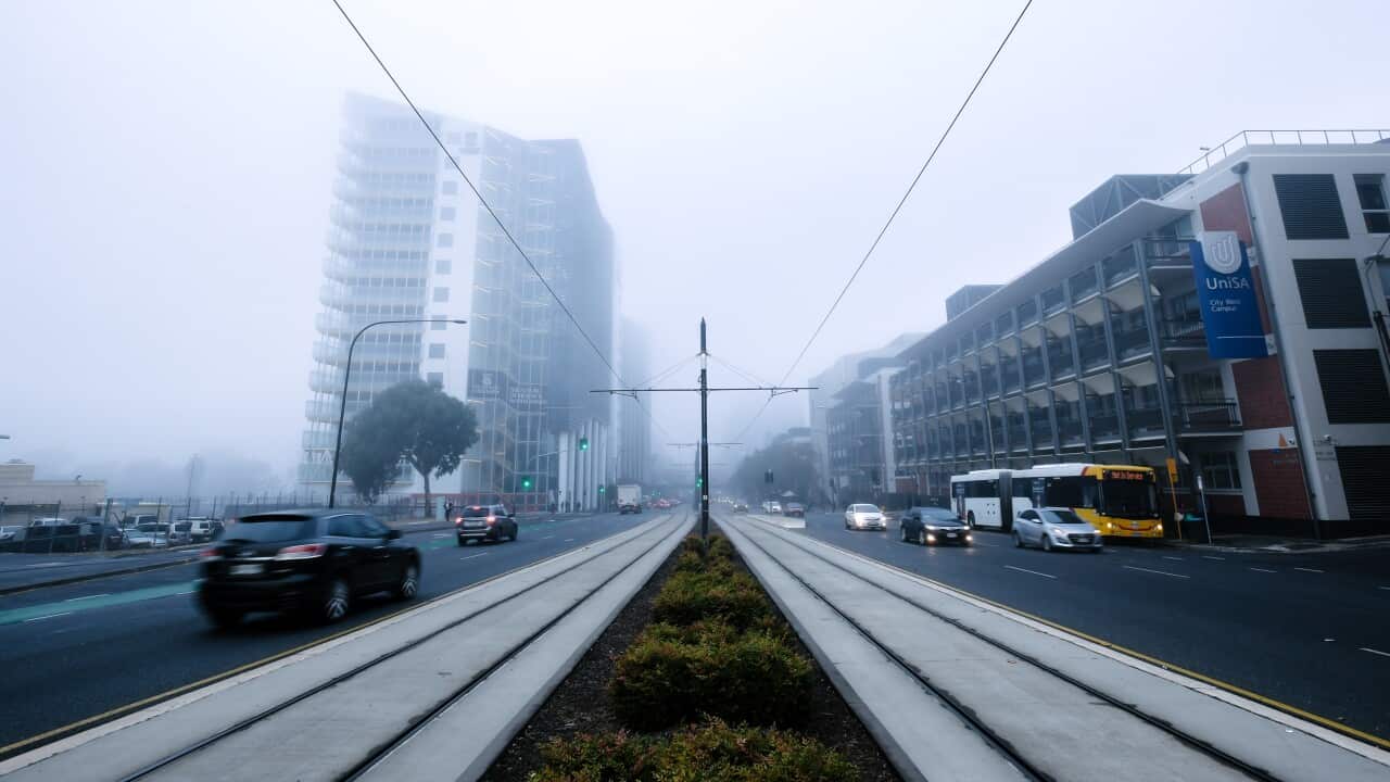 ADELAIDE FOG