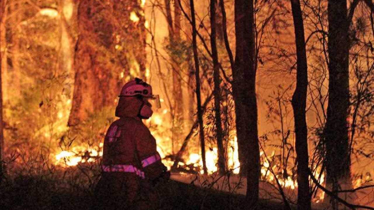 Firefighter battling an out-of-control bushfire.