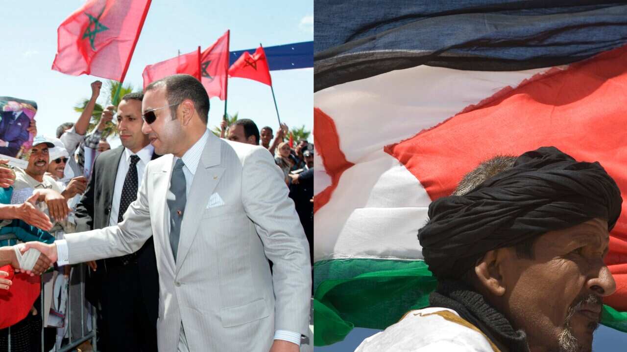 Western Sahara-richard-final----.jpg