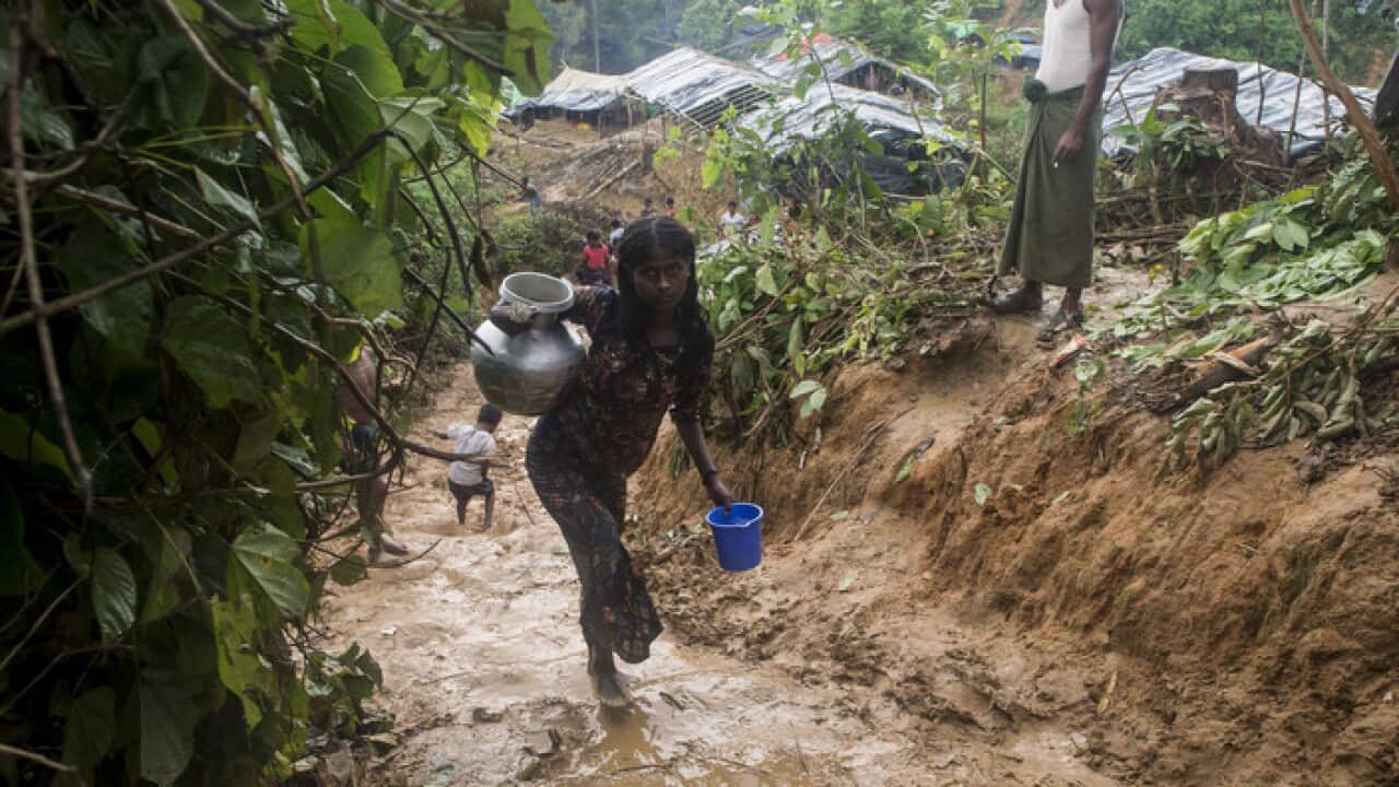Rohingya
