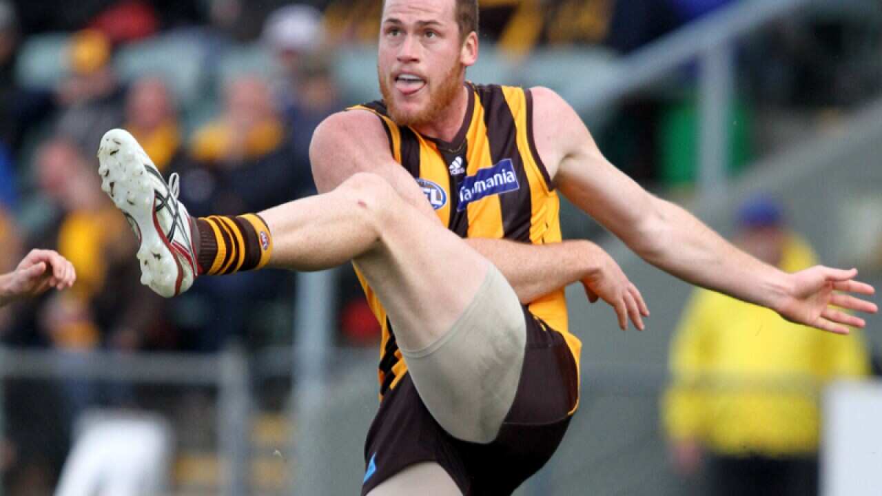 Hawthorn's Jarryd Roughead