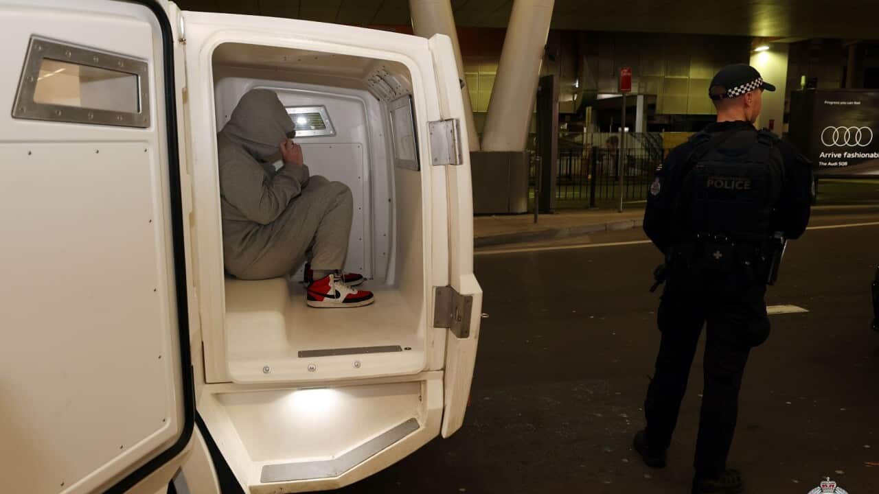 NSW POLICE DOMESTIC VIOLENCE ARRESTS
