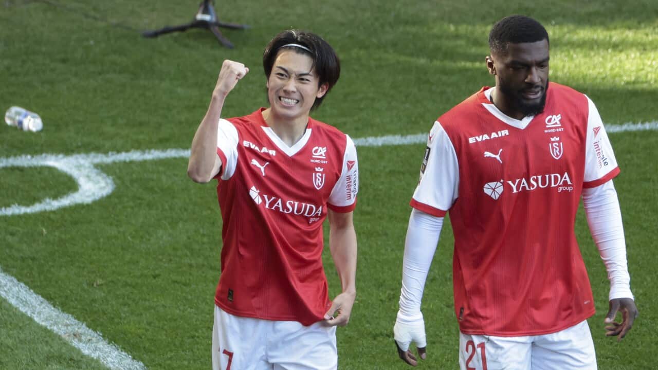 French football Cup - REIMS