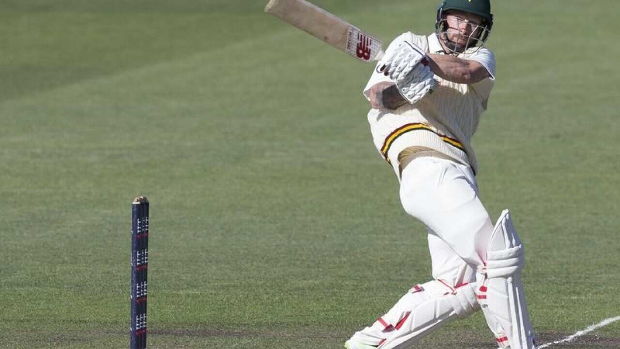 Matthew Wade of Tasmania bats