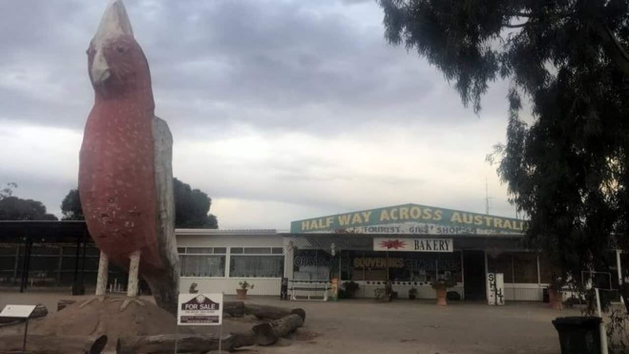 Kima The SA Town